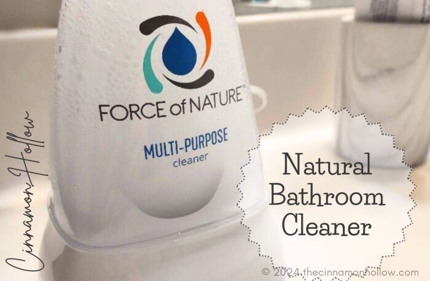 natural bathroom cleaner